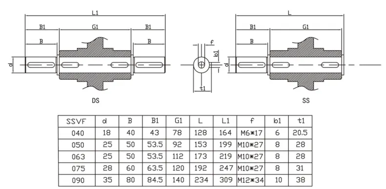 SSVF050 stainless steel output shafts DS SS type
