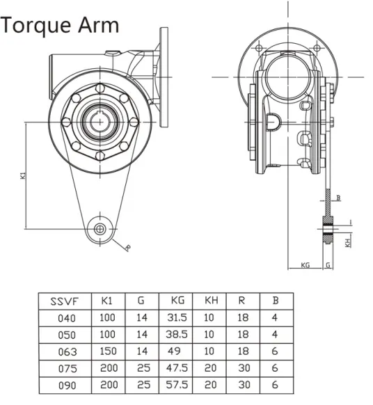 SSVF050 torque arm conveyor drum mount