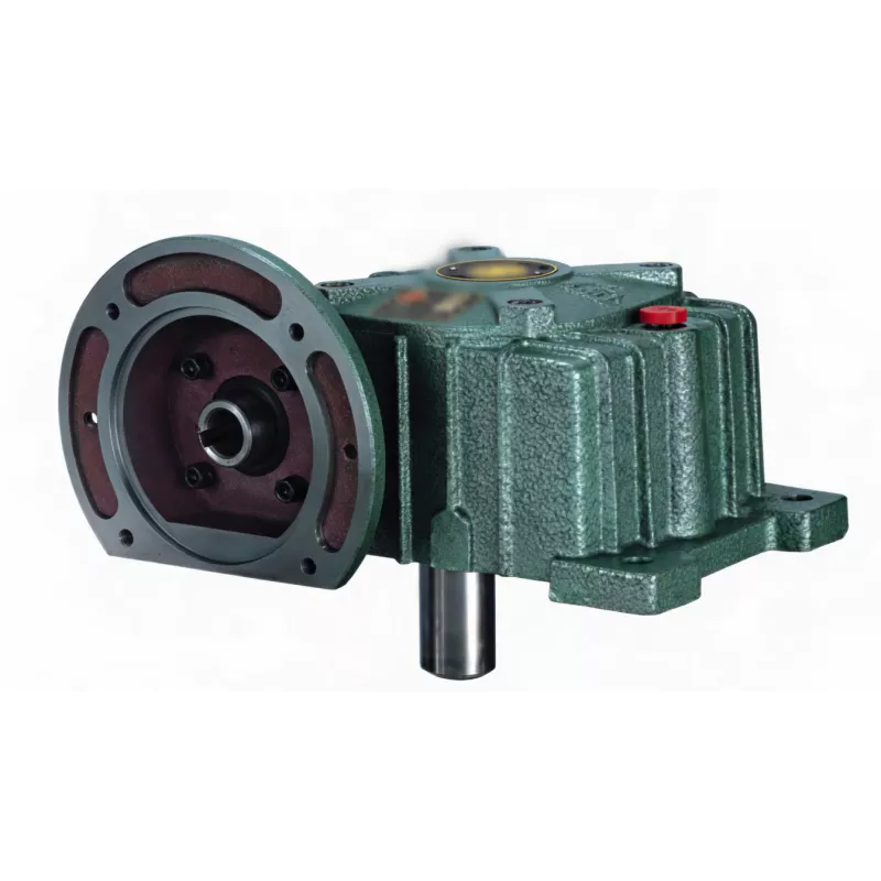 WPDX Flange-Mounted Dual Output Single Speed Worm Gear Reducer