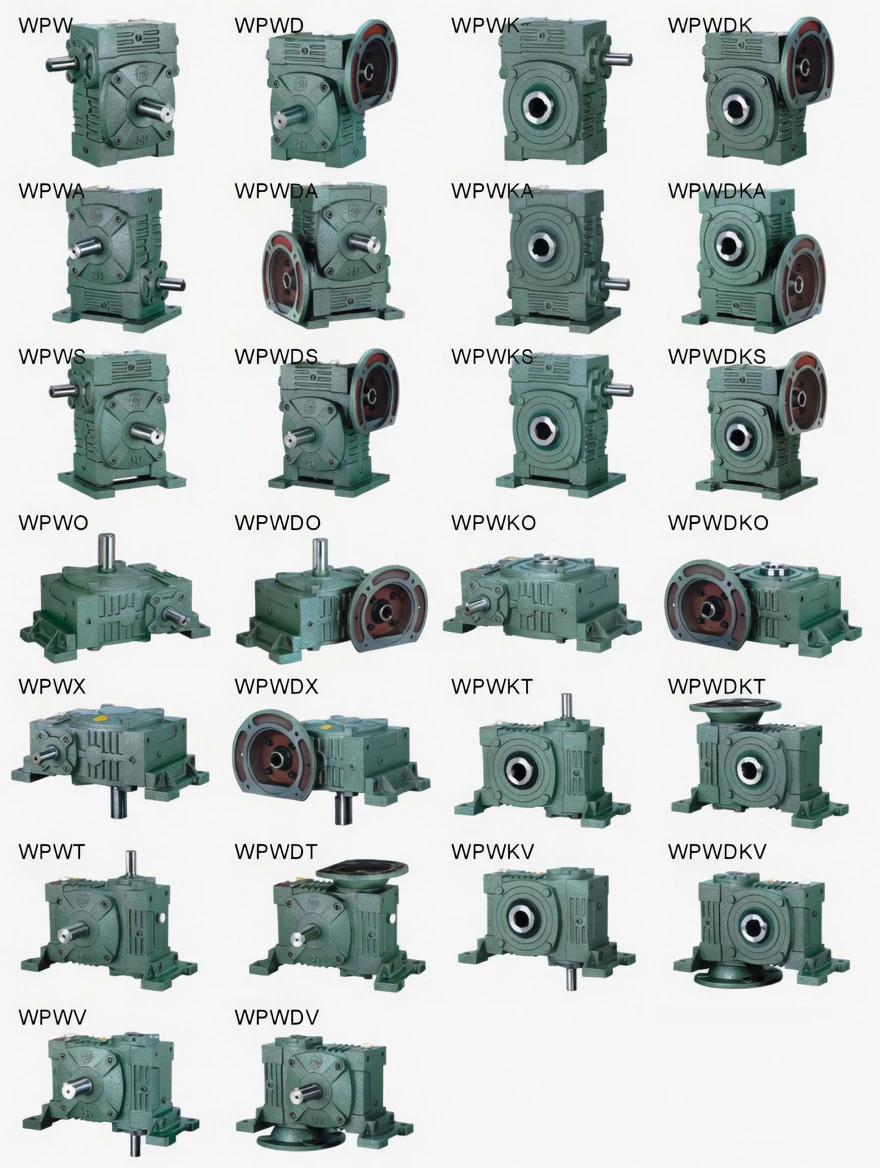 Ever-power WPWDKV IEC motor-direct hollow shaft vertical worm reducer range